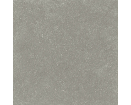 Carrelage de sol gris