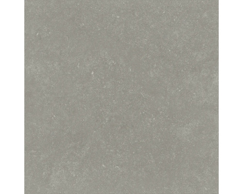 Carrelage de sol gris avec surface mate.