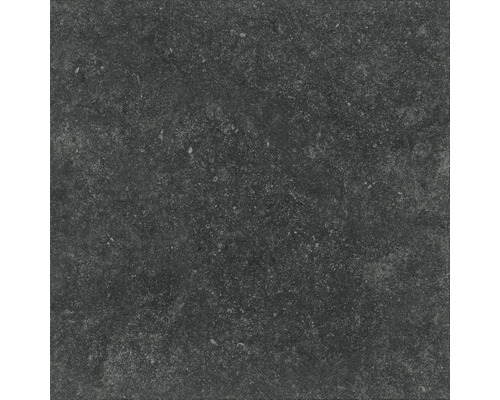 Carreau avec surface rugueuse