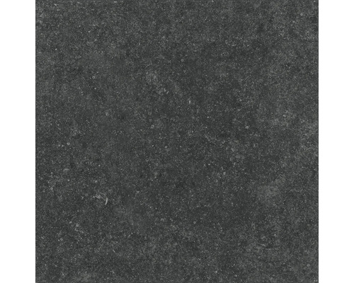Carreau en grès cérame foncé avec surface mate