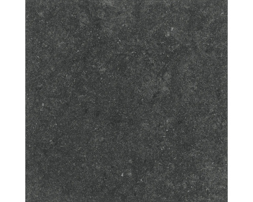 Carrelage de sol foncé avec surface mate