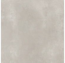 Feinsteinzeug Wand- und Bodenfliese Terra Cenere 59 x 59 cm-thumb-5 Feinsteinzeug Wand- und Bodenfliese Terra Cenere 59 x 59 cm-thumb-5