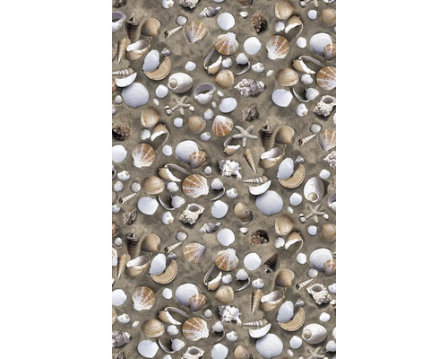Décoration avec coquillages et étoiles de mer