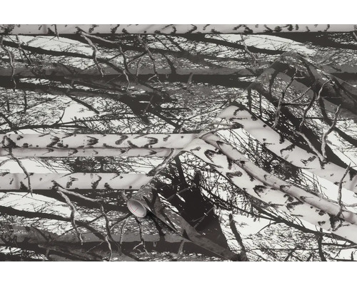 Tissu de décoration avec motif d''écorce d''arbre et de branches