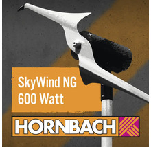 Micro-éolienne SkyWind NG 230V 600 W