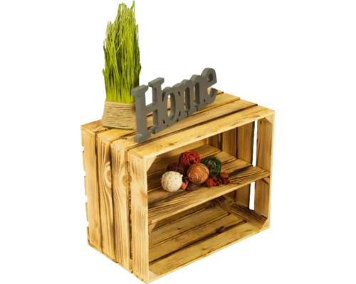 Étagère décorative en bois avec plante d''intérieur et décoration d''intérieur