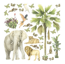 Illustration d''animaux et de plantes de la savane