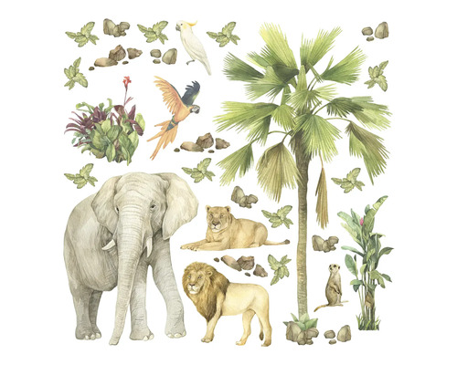 Illustration d''animaux et de plantes de la savane
