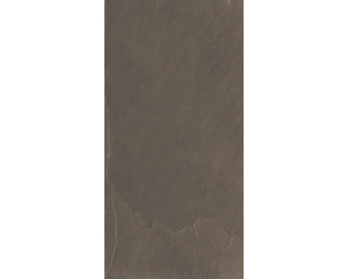 Schieferplatte