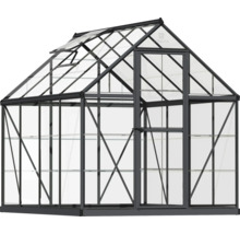 Gewächshaus mit Stahlrahmen, Glaspaneelen und Regalen