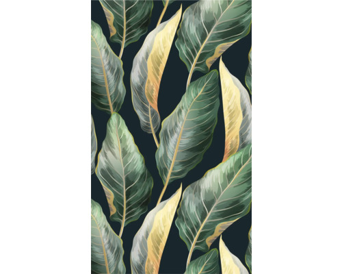 Illustration de feuilles tropicales comme motif de fond