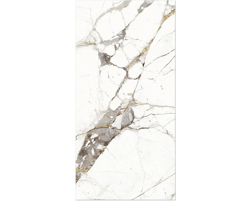 Feinsteinzeug Wand- und Bodenfliese Empero Classico bianco 60 x 120 x 0,9 cm glänzend rektifiziert Fliesenmuster mit Marmoroptik