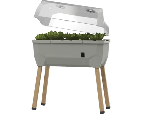 Jardinière surélevée sur pieds Gusta Garden Sammy Salad avec couvercle 79 x 37,5 x 95 cm gris clair