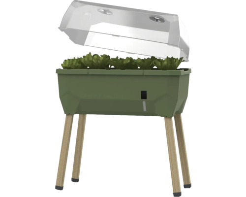 Jardinière surélevée sur pieds Gusta Garden Sammy Salad avec couvercle 79 x 37,5 x 95 cm vert foncé