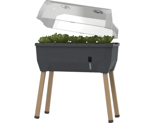 Jardinière surélevée sur pieds Gusta Garden Sammy Salad avec couvercle 79 x 37,5 x 95 cm anthracite