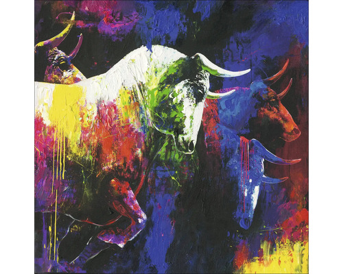Tableau sur toile Original Colourfull Bulls II 40x40 cm