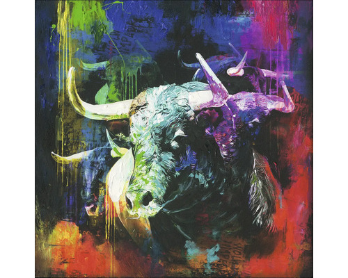 Leinwandbild Original Colourfull Bull Head 40x40 cm