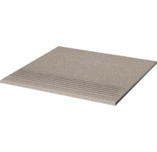 Beton Trittstufe mit Rillen