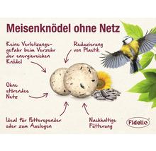 Meisenknödel ohne Netz mit Sonnenblumen und fliegender Blaumeise