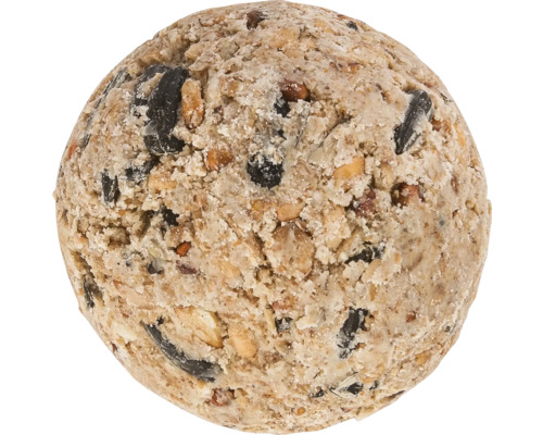 Boule de nourriture pour oiseaux avec graines et céréales