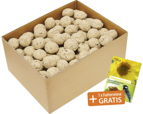 Ganzjahresvogelfutter Meisenknödel Protein 100 Stück Karton mit Meisenknödeln inklusive Futterwiese gratis