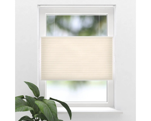 SOLUNA Wabenplissee freihängend mit Wand-/Deckenbefestigung und Zugschnurbedienung thermo taupe 120x175 cm SOLUNA Wabenplissee freihängend mit Wand-/Deckenbefestigung und Zugschnurbedienung thermo taupe 120x175 cm