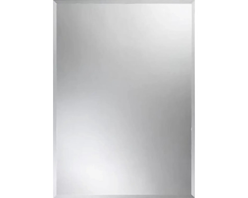 Miroir Crystal 60 x 40 cm avec facette