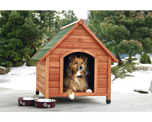 Holz Hundehütte mit Hund und zwei Futternäpfen