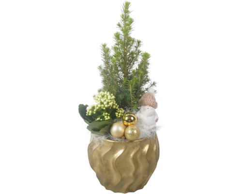 Arrangement de plantes d'intérieur FloraSelf pot Ø 15 cm Wave doré mini sapin de Noël