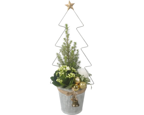 Arrangement de plantes d'intérieur mini sapin de Noël FloraSelf pot en zinc Ø 13 cm