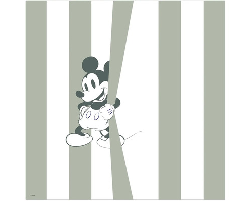 Tableau sur toile Mickey Be Yourself 40x40 cm