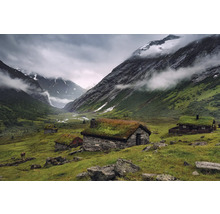 Landschaft mit Häusern mit Gründach vor Bergen