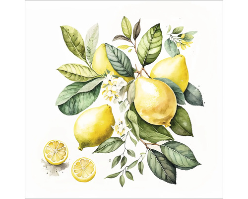 Image aquarelle avec des citrons, des feuilles et des fleurs