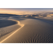 Paysage de dunes avec des vagues de sable dans la lumière du soir