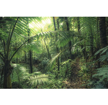 Jungle dense avec une végétation luxuriante et la lumière du soleil