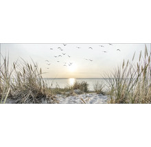 Strandlandschaft mit Dünengras, Meer und Vogelschwarm