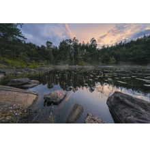 Landschaft mit See, Felsen und Bäumen