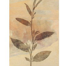 Illustration einer Pflanze mit Blättern