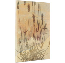 Leinwandbild Pressed Reed 30x40 cm
