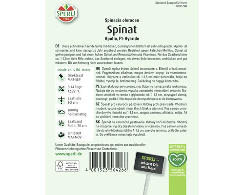 Samenpackung Spinat Apollo F1-Hybride von Sperli
