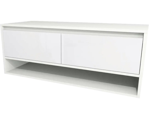 Meuble sous vasque Devo Cristal 2.0 lxhxp 120x47x49 cm alpine white/signal white glass