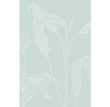 Illustration von Pflanzen mit langen Blättern