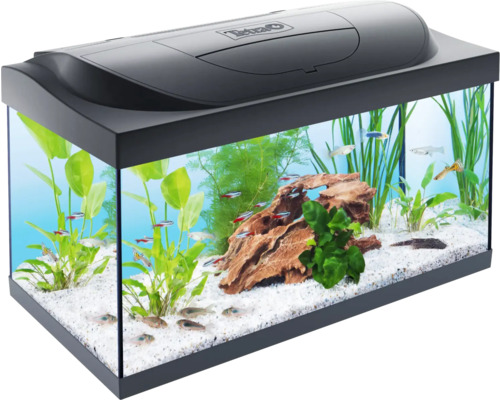 Aquarium Tetra Starter Line avec couvercle,éclairage,corps de chauffe/résistance chauffante,nourriture,conditionneur d'eau,film pour la paroi arrière,épuisette,filtre intérieur 61 x 31 x 31 cm