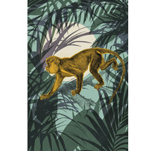 Leinwandbild Sneaky Monkey 40x60 cm