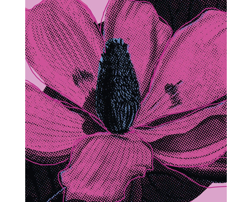 Tableau sur toile Pink Fusion 60x60 cm