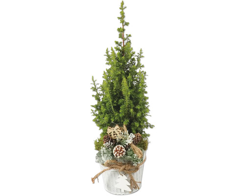 Faux cyprès Top Point FloraSelf h 35-40 cm p 13 cm Faux cyprès Top Point FloraSelf h 35-40 cm p 13 cm