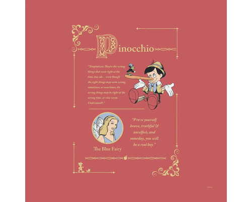 Tableau sur toile Pinocchio Vice Versa 40x40 cm