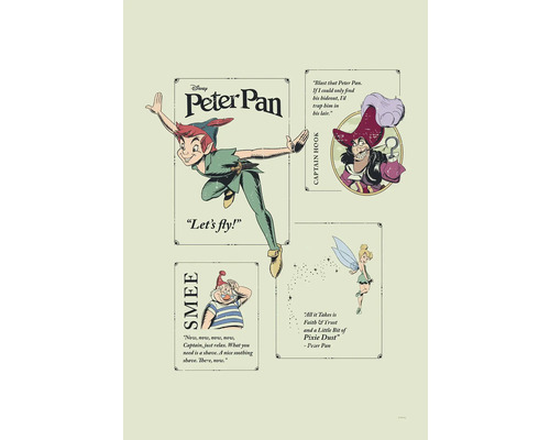 Tableau sur toile Peter Pan Let´s Fly! 40x60 cm
