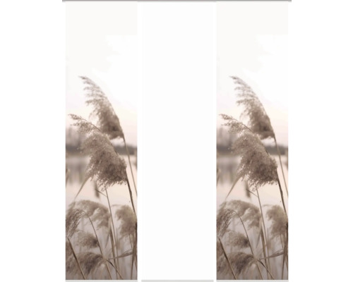 Roseaux dans le vent