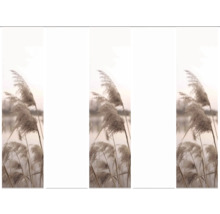 Roseau décoratif comme élément décoratif